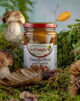 Funghi misti alla calabrese con porcini